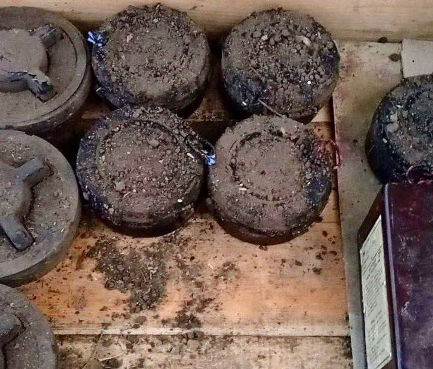 Замаскированные российские противопехотные мины