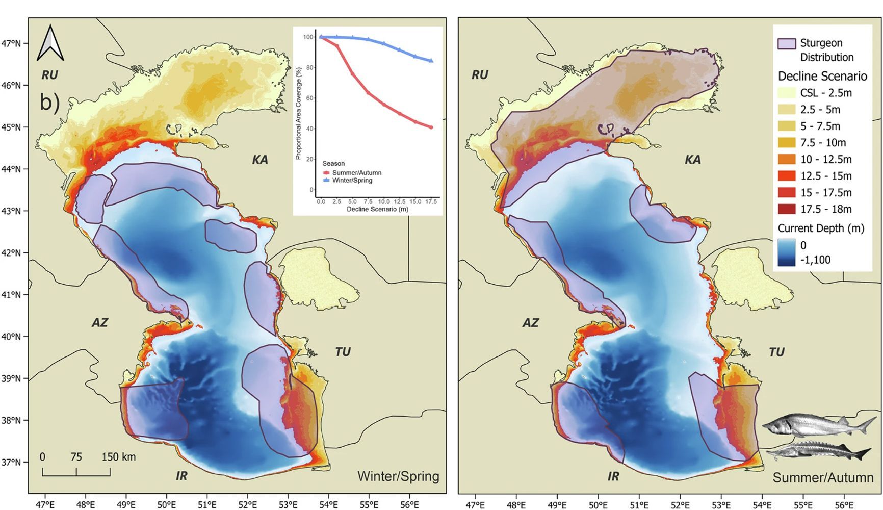 Maps show that even a 5–7 meter drop in sea level would leave sturgeon without their primary spawning grounds in the northern Caspian (spawning sites marked in purple on the right-hand map)