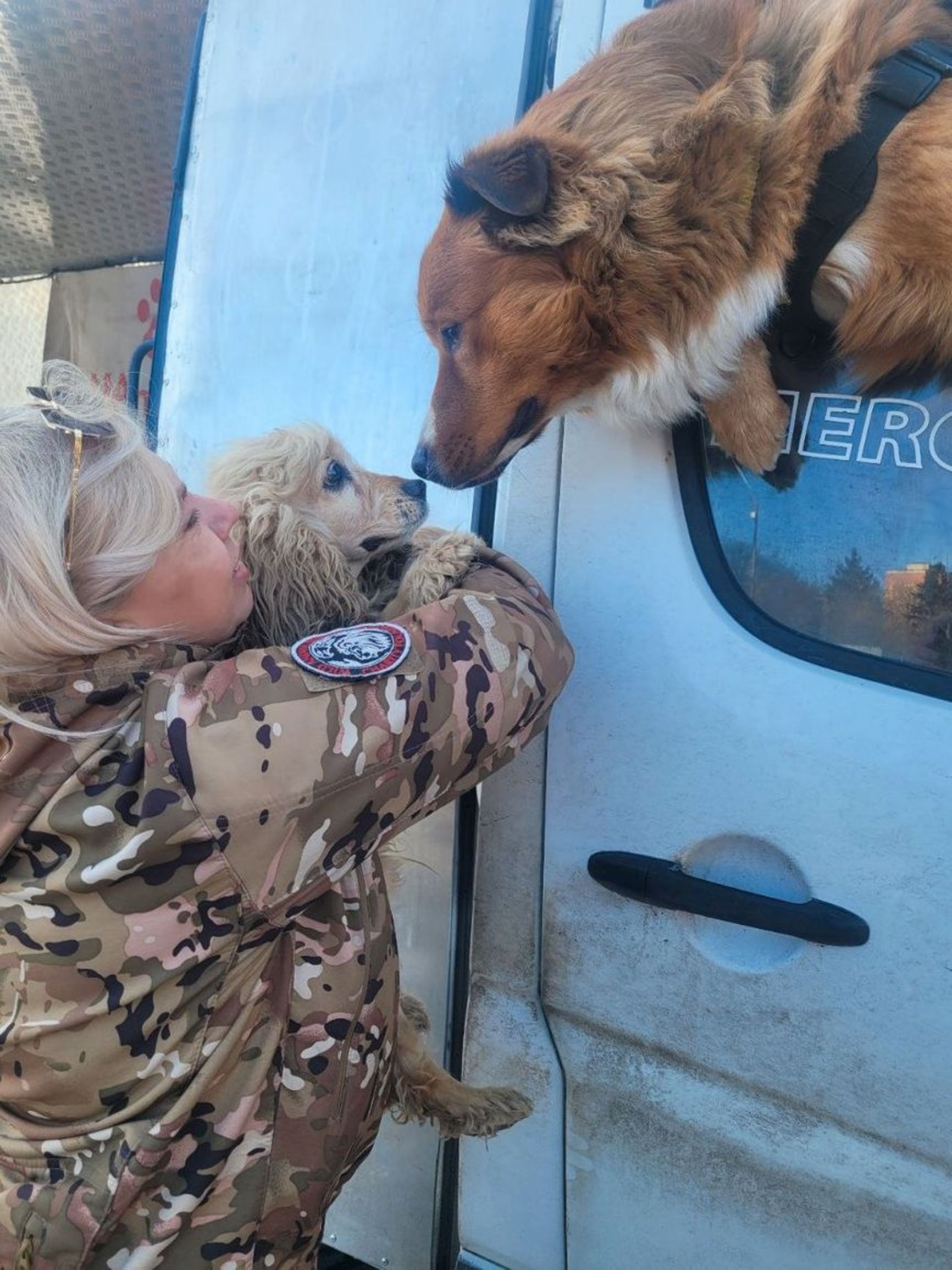 Baron and a rescued dog
